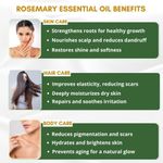 Buy Mystiq Living Rosemary Essential Oil & Castor Oil for Hair Growth & Hair Fall Control Oil, Rosemary Oil -15 ml, Cold Pressed Castor Oil For Face, Eyebrows & Eyelashes Growth -100 ml (Combo of 2) - Purplle