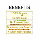Buy TQS 100% Natural & Organic Fenugreek Seed Powder -100 gm - Purplle