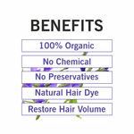 Buy TQS 100% Natural & Organic Indigo Powder -100 gm - Purplle