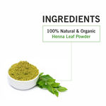 Buy TQS 100% Natural & Organic Henna Powder 100 gm - Purplle