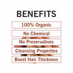 Buy TQS 100% Natural & Organic Reetha Powder-100 gm - Purplle