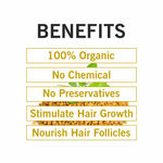 Buy TQS 100% Natural & Organic Amla, Reetha, Shikakai, Bhringraj, Fenugreek & Hibiscus Powder Set- 240 gm - Purplle
