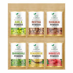 Buy TQS 100% Natural & Organic Amla, Reetha, Shikakai, Bhringraj, Fenugreek & Hibiscus Powder Set- 240 gm - Purplle
