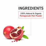 Buy TQS 100% Natural & Pure Pomegranate Powder 100 gm - Purplle
