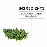 Buy TQS 100% Natural & Pure Neem Powder-100 gm - Purplle