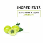 Buy TQS 100% Natural & Organic Amla Powder – 100 gm - Purplle
