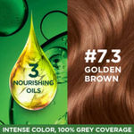 Buy Garnier, Hair Colouring Creme, Long-lasting Colour, Smoothness & Shine, Color Naturals, Shade: 7.3 Golden Brown, 55 ml + 50 gm - Purplle