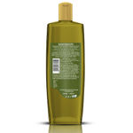 Buy Parachute Advansed Olive Enriched Coconut Hair Oil for Stronger Nourished Hair | Ultimate nourishment with Olive | Coconut for strengthening the hair | Upto 10x less hair fall and 90% stronger hair-  300 ml - Purplle