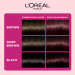Buy L'Oreal Paris Semi-Permanent Hair Colour, Ammonia-Free Formula & Honey-Infused Conditioner, Glossy Finish, Casting Creme Gloss, Burgundy 316, 60 gm+ 50 ml+ 40 gm - Purplle