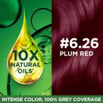 Buy Garnier, Hair Colouring Creme, Long-lasting Colour, Smoothness & Shine, Color Naturals, Shade: 6.26 Plum Red, 55 ml + 50 gm - Purplle