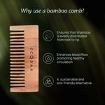 Buy Ecosaa Econature Shampoo Comb 1 pc - Purplle