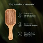 Buy Ecosaa Econature Paddle Brush 1 pc - Purplle
