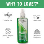 Buy Skin Secrets Neem & Aloe Skin Toner - 500 ml - Purplle