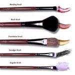 Buy Allure Set Of 5 Makeup Brushes (MBS -C5) - Purplle