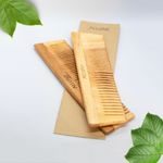 Buy Allure Neem Wood Pack of 2 Regular Hair Combs (CR-01) - Purplle