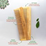Buy Allure Neem Wood Pack of 2 Regular Hair Combs (CR-01) - Purplle