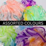 Buy Allure Pack of 2 Luxury Loofah Sponge (Assorted color XL Size Loofah) - Purplle