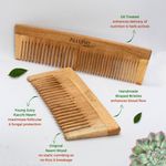 Buy Allure Neem Wood Shampoo and Dual Head Hair Combs (CS-01+CR-01) pack of 2 - Purplle