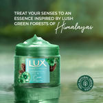 Buy Lux Essence of Himalayas Cedarwood Oil & Cica Gel Body Scrub (280 gm) - Purplle