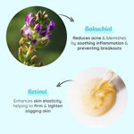Buy Wild Oak 1% Retinol Bakuchiol Face Serum | Anti-Aging Brightening & Skin Texture Improvement | Boosts Collagen & Restoration | With Ceramides & Olive Squalane | Face Serum for Women & Men | 30 ml - Purplle