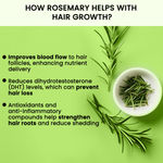Buy Alps Goodness Rosemary Water (100ml) | Rosemary water for hair | Hair Spray for Regrowth | Hair Growth Expert | Hair Growth Serum | Stops Hair Fall | Viral Rinse | Bestselling Spray - Purplle