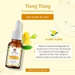 Buy Passion Indulge YLANG YLANG Essential oil For hair gowth and sebum balancer, & stimulate 10 ml - Purplle