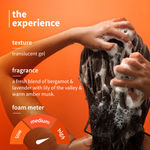 Buy Plum Anti-Dandruff Shampoo with Volcanic Minerals & 0.5% Salicylic Acid | 250 ml - Purplle