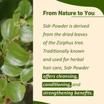 Buy MINATURE 100% Natural Sidr Powder for Hair Cleansing & DIY Herbal Hair Pack – 100 gm - Purplle