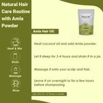 Buy MINATURE Natural Pure Amla Powder for Herbal Hair Care – Finely Ground Indian Gooseberry Powder for DIY Hair mask – 100 gm - Purplle