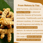 Buy MINATURE Wild Turmeric Powder (Kasturi Haldi) – 100 gm Natural Herbal Powder for Skin Care and DIY Face Packs - Purplle