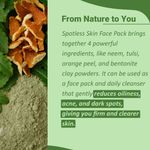 Buy MINATURE Spotless Skin Face Pack Powder – 100 gm Herbal Blend with Neem, Tulsi, Orange Peel, and Bentonite Clay for DIY Skin Care – (Face Pack) - Purplle
