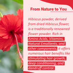 Buy MINATURE Hibiscus Powder – 100 gm | For DIY Hair Care Packs | Finely Milled Flower Powder - Purplle