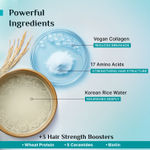 Buy Pilgrim Korean Rice Water & Collagen Advanced Damage Repair Shampoo Restores Damaged Hair 200 ml - Purplle