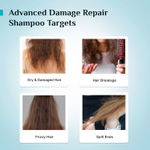 Buy Pilgrim Korean Rice Water & Collagen Advanced Damage Repair Shampoo Restores Damaged Hair 400 ml - Purplle