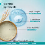 Buy Pilgrim Korean Rice Water & Collagen Advanced Damage Repair Conditioner Nourishes & Softens 200 ml - Purplle