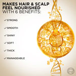 Buy L'Oreal Paris Extraordinary Oil Nourishing Conditioner, Moisturising & Hydrating, For Dry & Dull hair, 175 ml - Purplle