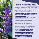 Buy MINATURE Indigo Powder – 100 gm Resealable Pack for Natural Hair Coloring and Conditioning – (Hair Pack) - Purplle