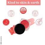 Buy Rhe Cosmetics Lip & Cheek Tint With Vitamin E & Jajoba Oil For Eyelids & Cheek - Delicate Rosewood (4 gm) - Purplle