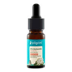 Buy Pilgrim CSMS Skincare Combo of 4 – Cleanser (100 ml), Serum (10 ml), Moisturizer (80 gm) & Sunscreen SPF 50 (50 gm) | Complete Skincare Routine | Hydrates, Brightens & Protects | For All Skin Types, Skincare kit - Purplle