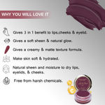 Buy Seven Seas Lip & Cheek Tint - 05 Wine Berry (8 gm) | Enriched with Vitamin C For Lips, Eyelids & Cheeks, Matte Finish - Purplle