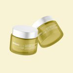 Buy SPRING H2O Youth Lift brightone Day Cream Rebuilds Skin Barrier, Boost Firmness Brightone (50 ml) - Purplle