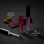 Buy Pilgrim Makeup Essentials Kit – BB Cream (30 ml) & Bossy Brown Liquid Lipstick (10 ml)| Lightweight Coverage & Transfer-Proof Lip Color |Rakhi Gift| Gift Hamper |For All Skin Tones - Combo of 2 - Purplle