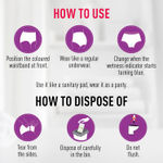 Buy Sirona Disposable Period Panties (L-XL) | 360° Protection for 12 hours | No Leakage, No Discomfort | Day & Night Protection | Wetness Indicator | Ultra-Absorbent Core(Pack of 2) - Purplle