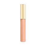Buy Lakme Makeup+Skincare Vit C Superglow Concealer 10 Ivory 5.4 ml - Purplle