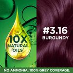 Buy Garnier Color Naturals Creme Hair Color Multi-Use Kit - Shade 3.16 Burgundy, 70 ml + 60 gm - Purplle