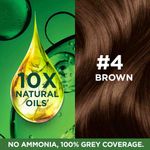 Buy Garnier Colour Naturals Natural Cream Nourishing Permanent Hair Colour Brown 4 (70 ml + 60 gm) - Purplle