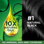 Buy Garnier Color Naturals Nourishing Permanent Hair Color - Natural Black 1 (70 ml + 60 gm) - Purplle