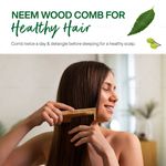 Buy Fabskin Neem Wooden Comb For Men & Women | Set Of 2 | Graduated & Wide Tooth Hair Comb | For All Hair Types - Purplle