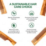 Buy Fabskin Neem Wooden Comb For Men & Women | Set Of 2 | Graduated & Wide Tooth Hair Comb | For All Hair Types - Purplle
