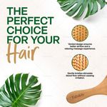 Buy Fabskin Wooden Paddle Cushioned Hair Brush For Men & Women With Bamboo Bristles 1 pc - Purplle